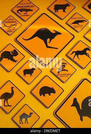 In der Kamera angebrachte Illustration von Hinweisschildern auf der australischen Tierstraße Stockfoto