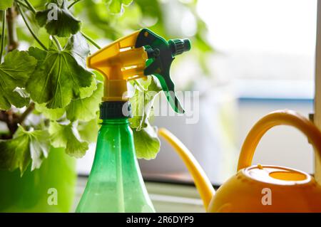 Zimmerpflanzen, Plastik-Wassersprühgerät und eine Gießkanne auf der Fensterbank. Blumenpflege im Innenbereich und Heimgärten Stockfoto