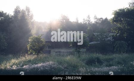 Wunderschöne grüne ländliche Landschaft. Alte Holzscheune im Hintergrund. Mit Tau bedeckte Pflanzen. Sonnenstrahlen durchbrechen den Wald. Stockfoto