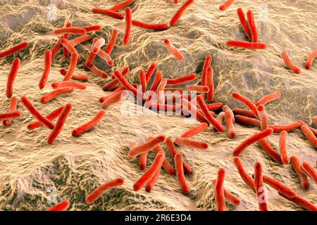 Lepra-Bakterien. Computer Grafik von Mycobacterium Leprae Bakterien, die grampositiven stabförmigen Bakterien die Krankheit Lepra hervorrufen. Stockfoto