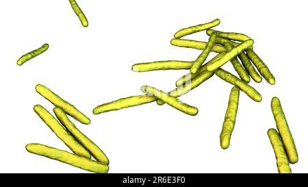 Lepra-Bakterien. Computer Grafik von Mycobacterium Leprae Bakterien, die grampositiven stabförmigen Bakterien die Krankheit Lepra hervorrufen. Stockfoto