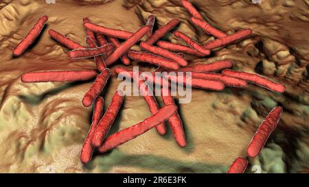 Lepra-Bakterien. Computer Grafik von Mycobacterium Leprae Bakterien, die grampositiven stabförmigen Bakterien die Krankheit Lepra hervorrufen. Stockfoto