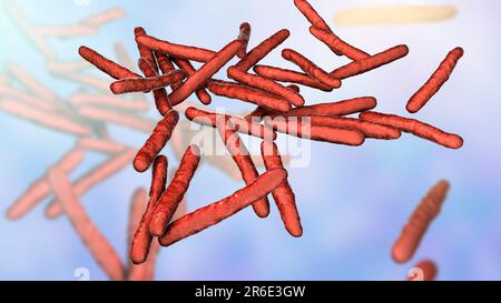 Lepra-Bakterien. Computer Grafik von Mycobacterium Leprae Bakterien, die grampositiven stabförmigen Bakterien die Krankheit Lepra hervorrufen. Stockfoto