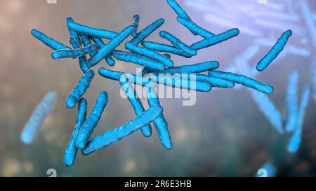 Lepra-Bakterien. Computer Grafik von Mycobacterium Leprae Bakterien, die grampositiven stabförmigen Bakterien die Krankheit Lepra hervorrufen. Stockfoto