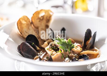 Detaillierte Ansicht einer Muschel und Meeresfrüchtesuppe auf einem tiefen Designer-Teller. Stockfoto