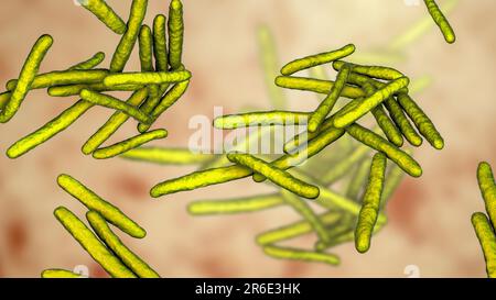 Lepra-Bakterien. Computer Grafik von Mycobacterium Leprae Bakterien, die grampositiven stabförmigen Bakterien die Krankheit Lepra hervorrufen. Stockfoto