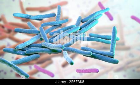 Lepra-Bakterien. Computer Grafik von Mycobacterium Leprae Bakterien, die grampositiven stabförmigen Bakterien die Krankheit Lepra hervorrufen. Stockfoto