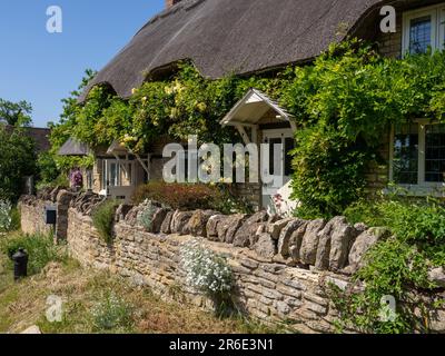 Attraktives strohgedecktes Cottage im Sommer mit Rosen um die Tür, im Dorf Ravenstone, Buckinghamshire, Großbritannien Stockfoto