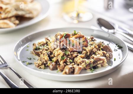 Pilzrisotto oder Speltotto nach italienischer Art, serviert auf einem Teller in einer Trattoria. Stockfoto