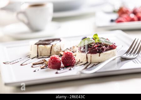 Süße Leckerei in Form von Pannacotta-Dessert garniert mit Waldobst, Schokolade und Minze. Stockfoto