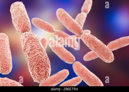 Klebsiella-pneumoniae-Bakterien, Computerdarstellung. K. Pneumonien sind gramnegative, verkapselte, nicht-motile, enterische Stabprokaryote. Diese Spezies Stockfoto