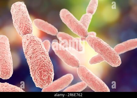 Klebsiella-pneumoniae-Bakterien, Computerdarstellung. K. Pneumonien sind gramnegative, verkapselte, nicht-motile, enterische Stabprokaryote. Diese Spezies Stockfoto