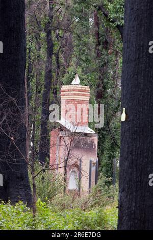 Verbrannter Wald und ein zerstörtes Haus in Kinglake, eine der am schlimmsten betroffenen Gemeinden der katastrophalen 2009 australischen Buschbrände im Staat Victoria. 173 Personen w Stockfoto