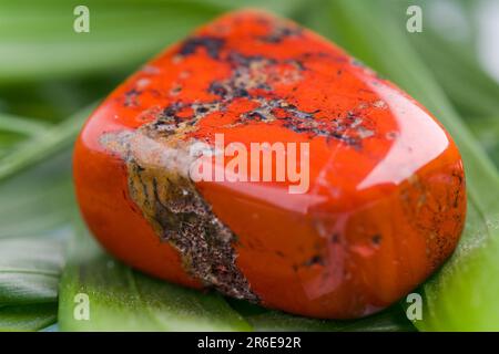 Naturstein-roter Jasper glänzt in wunderschönen Farben auf weißem Hintergrund Stockfoto