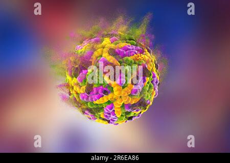 Zerstörung der Zika-Virus, Abbildung. Konzeptbild für Zika Fieber Behandlung und Prävention. Stockfoto