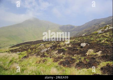 Slieve Mish Mountains, Burning Meadows, Ballyarkane Oughter, County Kerry, Irland Stockfoto