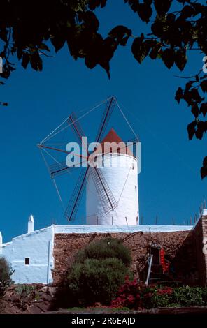 Alte Windmühle, Es Mercadal, Menorca, Balearen, Spanien Stockfoto