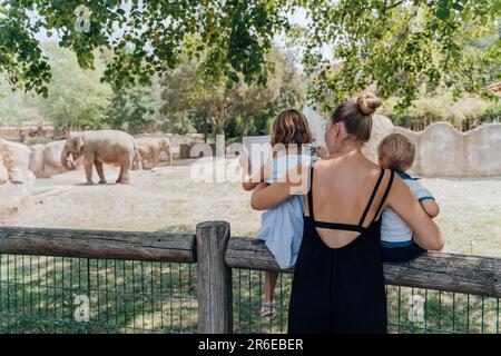 Frau mit zwei Kindern, die Tiere im Zoo ansieht, Rückansicht Stockfoto