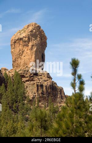 Roque Nublo Monolith, Rock, Cloud Rock, Gran Canaria, Kanarische Inseln, Spanien Stockfoto