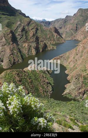 Presa del Parralillo Reservoir, Gran Canaria, Kanarische Inseln, Spanien, Gebirgsstraße GC210 Stockfoto