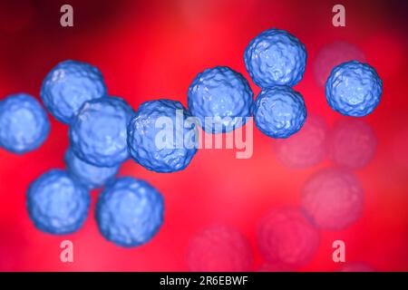 Enterococcus faecalis. Computerdarstellung von Enterococcus faecalis-Bakterien (früher bekannt als Streptococcus faecalis). E. faecalis existiert als PAR Stockfoto