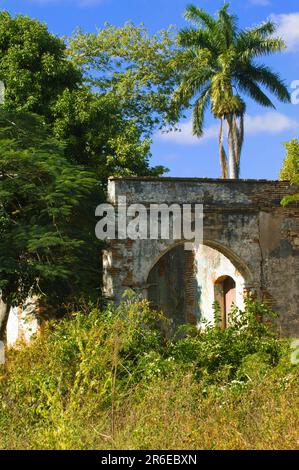 Ruinen der Zuckerraffinerie San Isidro, Valle de los Ingenios, Tal der Zuckerraffinerien, Trinidad, Provinz Sancti Spiritus, Kuba Stockfoto