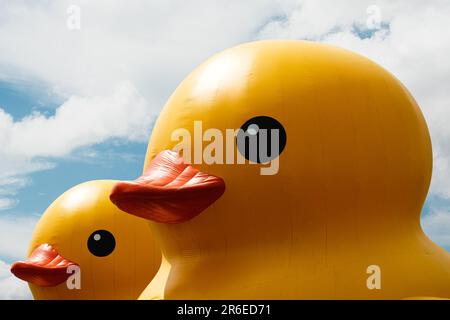 Hongkong, China. 9. Juni 2023. Zwei riesige aufblasbare Gummiröcke sind im Victoria Harbour während der Ausstellung „Double Ducks“ zu sehen. Zur Feier seines 10. Jubiläums bringt die Rückkehr der Gummiente nach Hongkong nun einen Begleiter für die Ausstellung DER DOPPELENTEN von Florentijn Hofman mit. Die Ausstellung findet ab Juni 10 für zwei Wochen in der Nähe des Tamar Park und der Central and Western District Promenade statt. (Kreditbild: © Keith Tsuji/ZUMA Press Wire) NUR REDAKTIONELLE VERWENDUNG! Nicht für den kommerziellen GEBRAUCH! Stockfoto