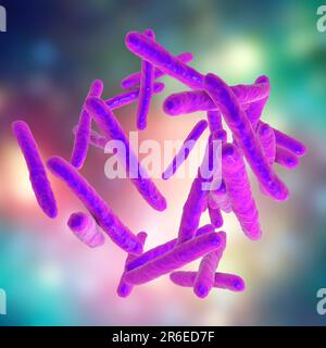 Tuberkulosebakterien. Computerdarstellungen von Mycobacterium tuberculosis-Bakterien, den Gram-positiven Stabbakterien, die die Krankheit tubercu verursachen Stockfoto