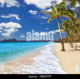 Paradiesischer tropischer Strand mit Palmen und klarem Meer Stockfoto