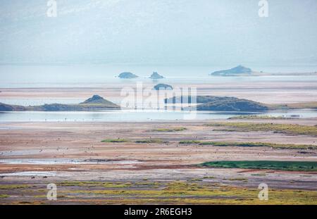 Das Ufer des Natron-Sees im Verschulden des Great Rift Valley. Tansania Stockfoto