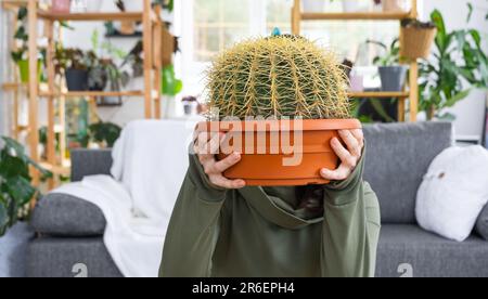 Grosser echinocactus Gruzoni in den Händen einer Frau ohne Gesicht im Inneren eines grünen Hauses mit Regal-Sammlungen von Hauspflanzen. Ernte zu Hause Stockfoto
