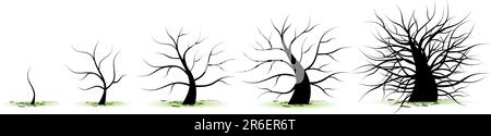 Lebensstadien des Baumes: Kindheit, Adoleszenz, Jugend, Erwachsenenalter, Alter Stock Vektor