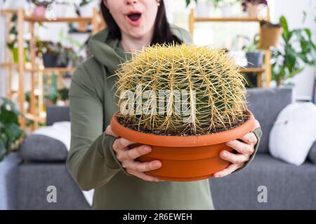 Großer echinocactus Gruzoni in den Händen einer überraschten und lustigen Emotionen Frau im Inneren eines grünen Hauses mit Regal-Sammlungen von Hauspflanzen. Hom Stockfoto