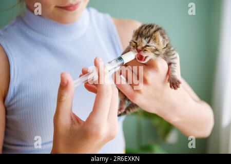 Ein neugeborenes Kätzchen trinkt Milch aus einer Spritze. Künstliche Ernährung. Stockfoto