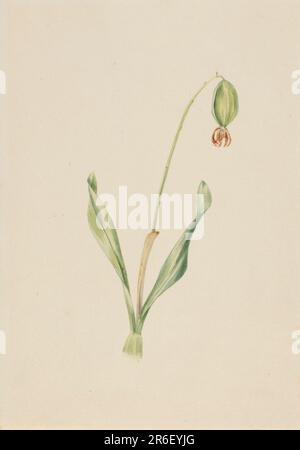 (Unbenannt) (Werksstudie). Aquarell auf Papier. Datum: Ca. Anfang 1930er. Museum: Smithsonian American Art Museum. Stockfoto