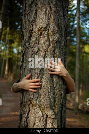 Eine junge Frau umarmt den Baum mit ihren Armen. Konzept der Liebe zur Natur. Liebe zur Erde. Pachamama-Liebe. Stockfoto