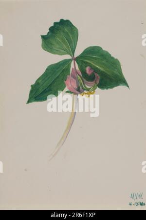 Unbenannt. Datum: Ca. 1920. Aquarelle auf Papier. Museum: Smithsonian American Art Museum. Stockfoto