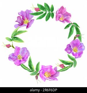 Aquarellkranz von wilden Rosenblumen isoliert auf weißem Hintergrund. Blätter, Blütenblätter, Knospen. Design für Hochzeitseinladungen, Grußkarten, Verpackung f Stockfoto