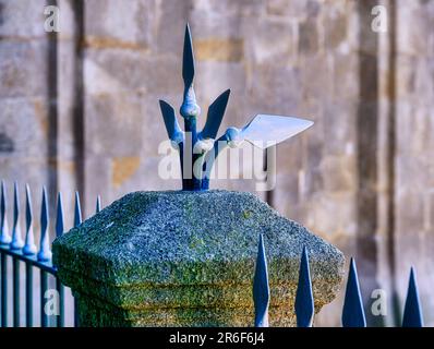 Die Kirche Lapa in Porto, Portugal, architektonische Merkmale Stockfoto