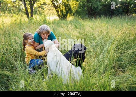 Die grauhaarige Großmutter und die süße kleine Enkelin gehen mit ihren Hunden im Park spazieren. Ältere wunderschöne Frau streichelt goldenes labrador und Stockfoto