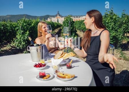 Charmante junge Frauen in eleganten Kleidern, die lachen und Champagner auf dem Weinberg trinken. Glückliche lächelnde Mädchen machen Toast mit Sekt und amüsieren mich Stockfoto