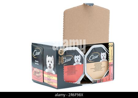 Packung mit 8 Packungen Cesar Classic Terrine Hundefutter mit zartem Hähnchen und Truthahn, saftigem Rindfleisch und Leber, zartem Geflügel, herzhaftem Hähnchen Stockfoto
