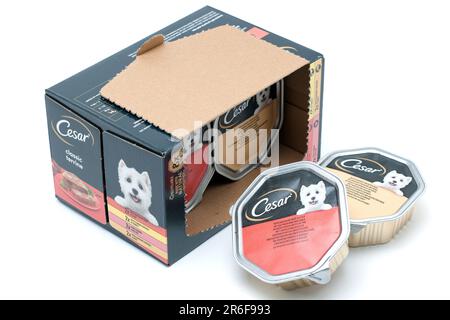Packung mit 8 Packungen Cesar Classic Terrine Hundefutter mit zartem Hähnchen und Truthahn, saftigem Rindfleisch und Leber, zartem Geflügel, herzhaftem Hähnchen Stockfoto