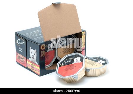 Packung mit 8 Packungen Cesar Classic Terrine Hundefutter mit zartem Hähnchen und Truthahn, saftigem Rindfleisch und Leber, zartem Geflügel, herzhaftem Hähnchen Stockfoto