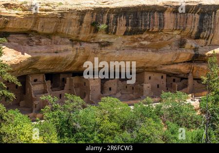 Fichte Tree House, Felsenwohnung der Ureinwohner von Pueblo Anasazi, Mesa Verde-Nationalpark, Colorado, USA. Stockfoto