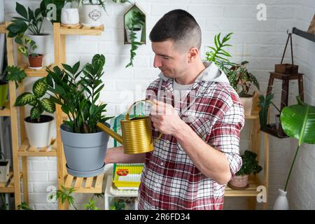 Man Waters Heim Pflanzen Zamioculcas aus seiner Sammlung seltener Arten aus einer Gießkanne, die mit Liebe auf Regalen im Inneren des Hauses gewachsen ist. H Stockfoto