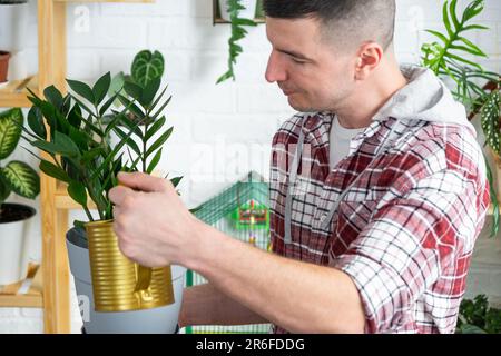 Man Waters Heim Pflanzen Zamioculcas aus seiner Sammlung seltener Arten aus einer Gießkanne, die mit Liebe auf Regalen im Inneren des Hauses gewachsen ist. H Stockfoto