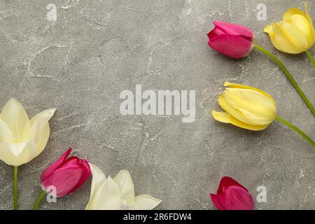 Wunderschöne Tulpen auf grauem Hintergrund mit Kopierbereich. Stockfoto