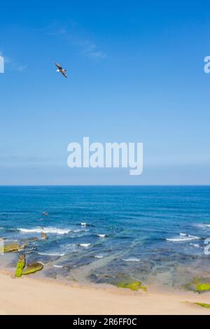 Praia do Sul e Praia da Baleia Ericeira Portugal Stockfoto