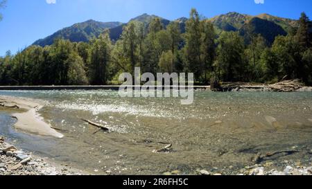 Winziger, klarer, kalter Bach mit Kieselfelsen im Arkhyz Mountain Ridge - Foto der Natur Stockfoto